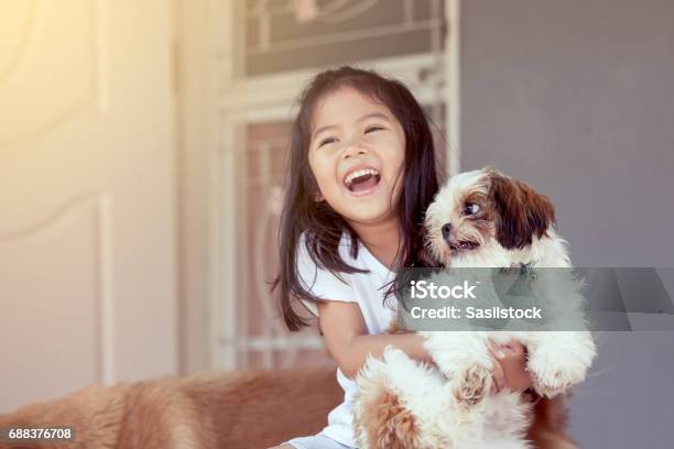 Cute Asian Little Girl With Her Shih Tzu Dog In Vintage Color Tone Stock Photo - Download Image Now