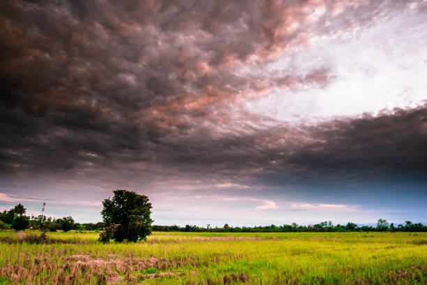 istock Landscape of field stubble and sunset sky 688390664