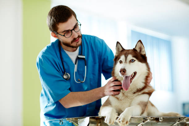 istock Medical treatment 688393390