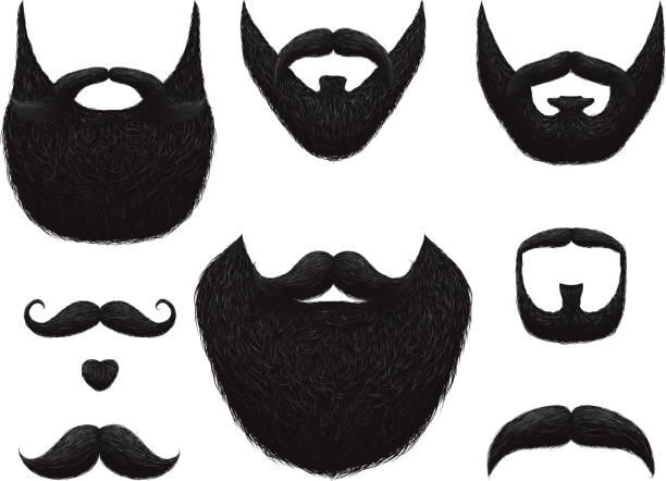 illustrations, cliparts, dessins animés et icônes de barbes dessinés à la main et moustaches vector collection - barbe