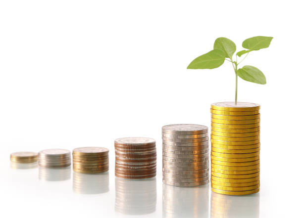 istock Investment concept, Coins graph stock 688407268