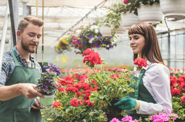 istock Working at the Garden Center 688410748
