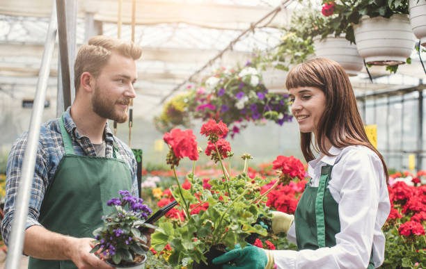 istock Working at the Garden Center 688410758
