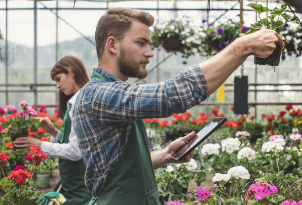 istock Working in the Gardenia Center 688410878