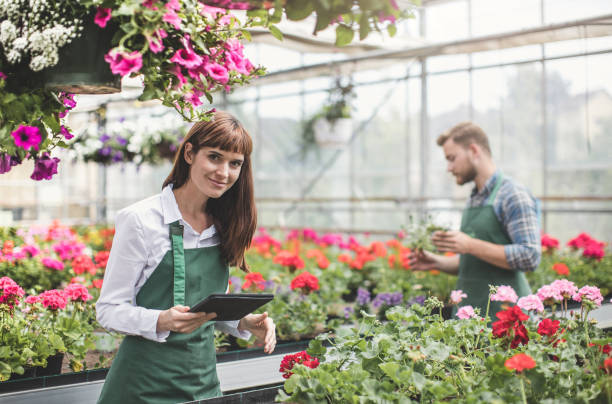 istock Working in the Gardenia Center 688410902