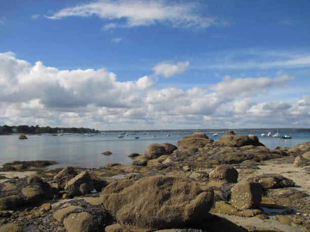 istock Sea side Low tide Rocky coast 688411410