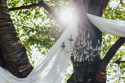 Chandelier on a tree branch with a white curtain