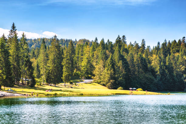 Crowd of tourists at small altitude french Genin lake in middle of wild pine forest in summer in Jura mountains Unrecognizable group of tourists, crowd in vacations, lying down and sitting on grass beach at water edge. Nature scenic landscape view of beautiful Genin lake (Lac Genin in french) in Bugey mountains, located on Oyonnax, Charix and Echallon town. It takes place at the foot of Jura massif, in Ain, Auvergne-Rhone-Alpes region in France (Europe) at an elevation of 850m. This medium altitude lake is fed by underground sources, and surrounded by pine and fir tree forest. This picture was taken under a bright sunny summer day, with blue sky and some clouds, in HDR color and exposure technic for vibrant color and wonderful render of this wild and preserved nature. jura france stock pictures, royalty-free photos & images
