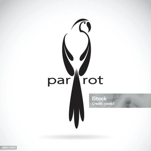 Vector Of A Parrot Design On White Background Bird Logo Stock Illustration - Download Image Now