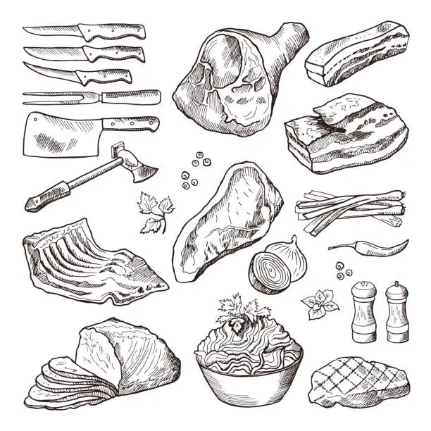 Vector illustration of Different meat food. Pork, bacon and kitchen accessories. Knife and axe vector hand drawn picture