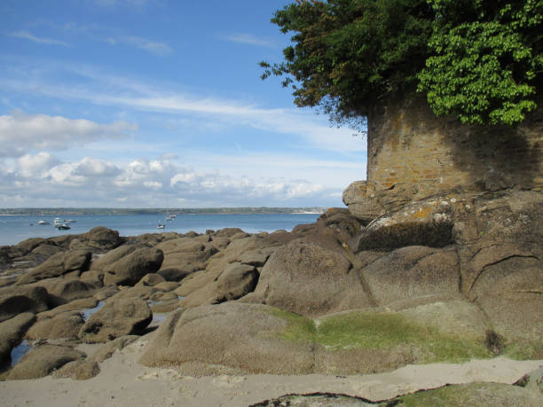 istock Sea side Low tide Rocky coast 688418052