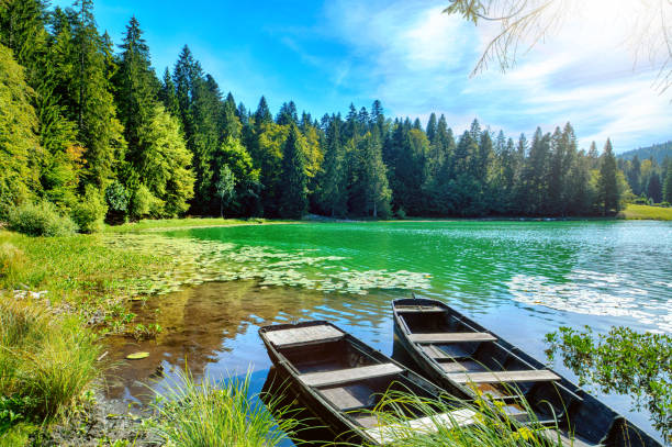 wonderful old weathered boat on riverbank of small altitude french genin lake in middle of pine forest in jura mountains - marsh swamp plant water lily imagens e fotografias de stock