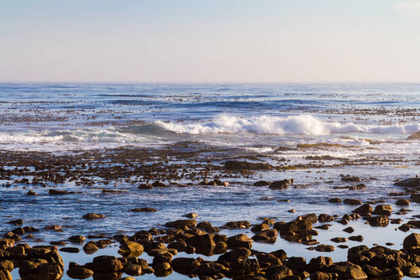 istock Rocky Coastline, South Africa 688421106