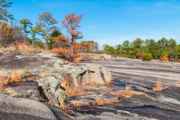 Landscape with trees and stone ground in the Stone Mountain Park in sunny autumn day, Georgia, USA