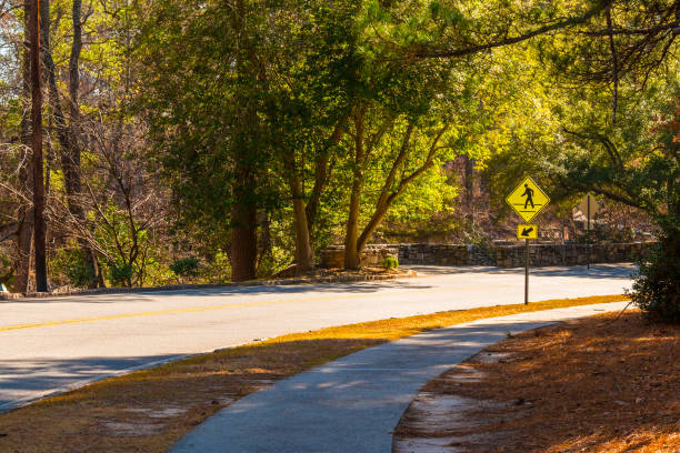 istock Robert E Lee Boulevard in Stone Mountain Park, Georgia, USA 688424522