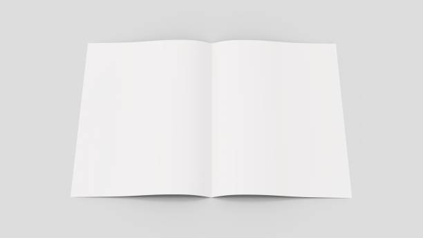 istock Blank magazine or brochure mockup isolated on soft gray background. 3D illustrating 688424960
