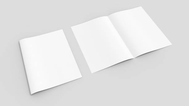 istock Blank magazine or brochure mockup isolated on soft gray background. 3D illustrating 688424992