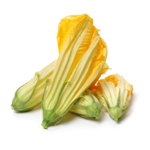 istock yellow pumpkin flowe isolated on the white background 688427196