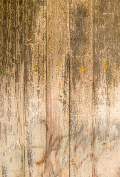 istock Vertical surface of old blue shabby boards of the background surface 688428598