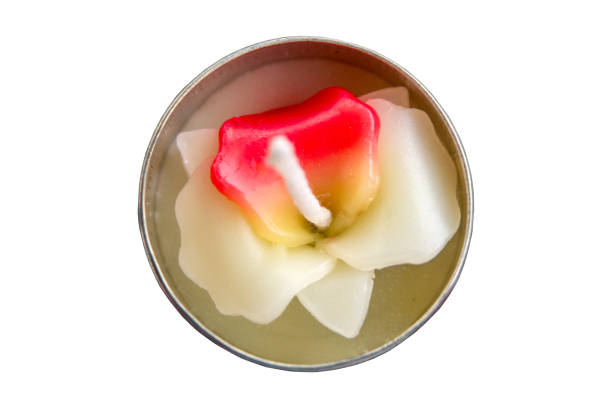 istock Beautiful scented candles orchid bullpen on white background. 688434764