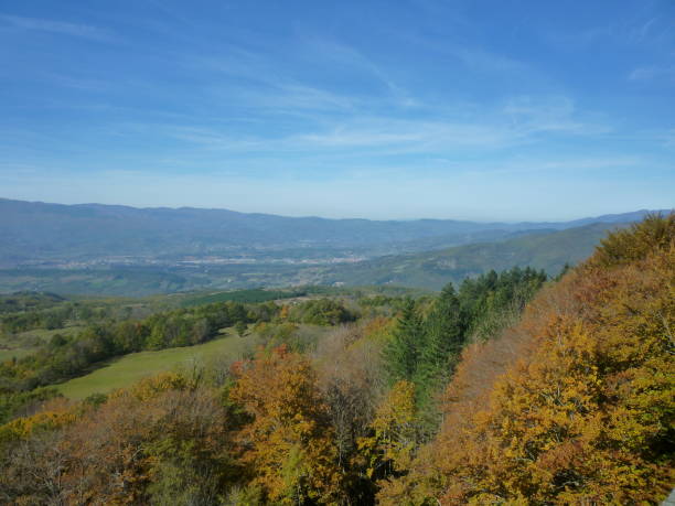 istock Autumn trees at La Verna, Tuscany, Italy 688438076