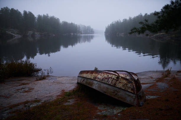 Shot of a treelined lake on a misty morning with no people