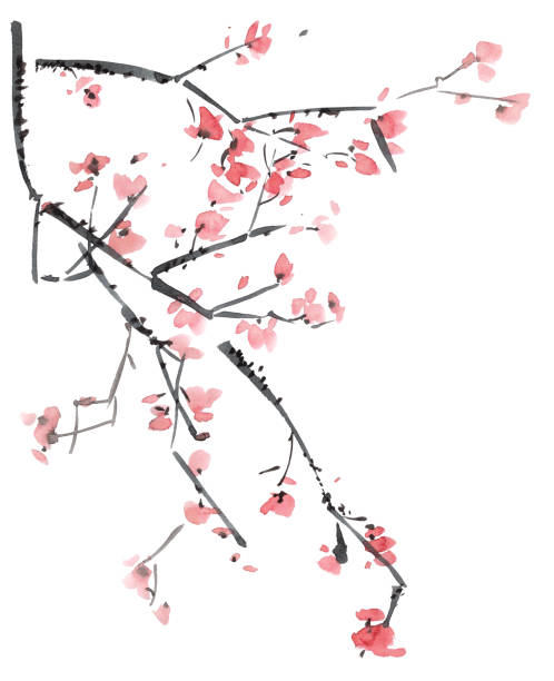 Blossom tree branch Watercolor and ink illustration of blossom tree branch. Sumi-e, u-sin painting. oriental cherry tree stock illustrations