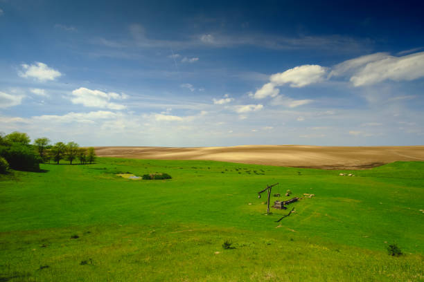 Shadoof on the pasture landscape Shadoof on the pasture landscape thomas wells stock pictures, royalty-free photos & images