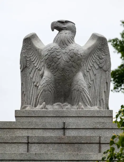 Photo of Bald Eagle Arlington National Cemetery, Virginia, USA