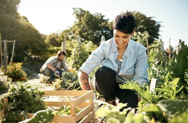 istock Nature holds the key to a healthy life 688468986