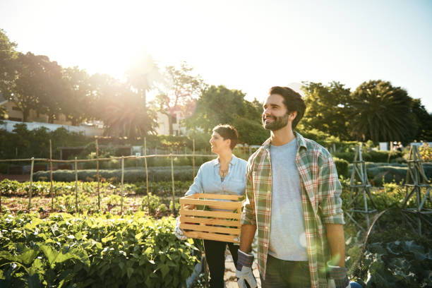 istock Harvesting goodness from their garden 688469512