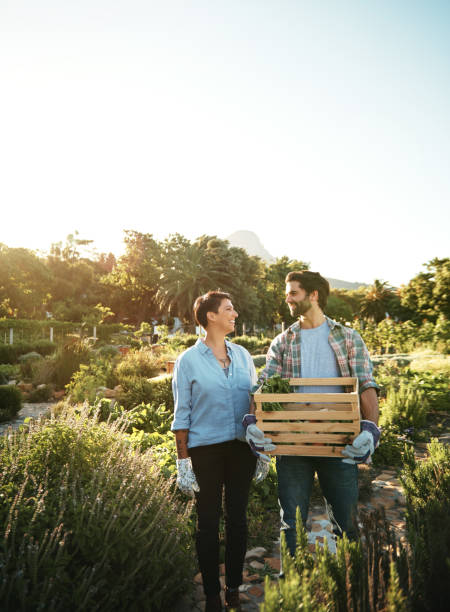 istock What a great season it's been 688471016