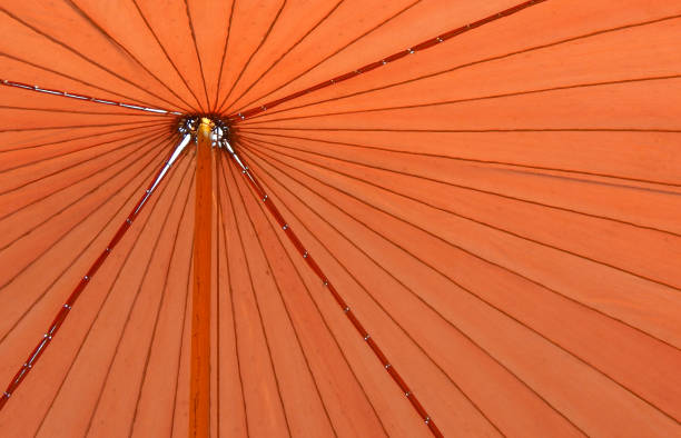 istock Interior of tent texture or pattern of roof 688476300