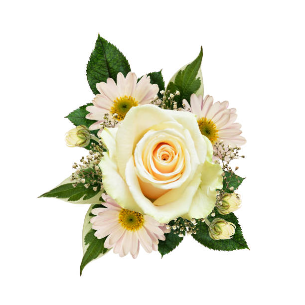 istock Yellow rose flowers composition isolated on white 688479346