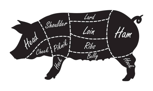 豚肉カット肉屋図 - cheek lard点のイラスト素材／クリップアート素材／マンガ素材／アイコン素材