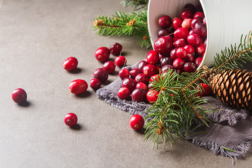 Red berries on a dark background. cranberries in a white bucket with a Christmas tree branch