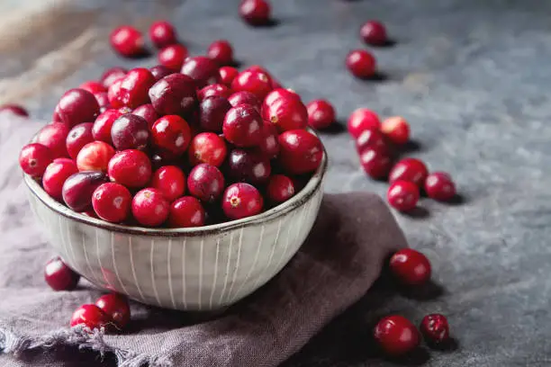 Photo of Red berries on a dark background. cranberries in a bowl.