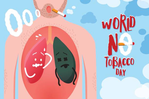 Vector illustration for World no tobacco day Campaign, Concept design by lungs with good and unhealthy inside hairy man body Vector illustration for World no tobacco day Campaign, Concept design by lungs with good and unhealthy inside hairy man body World No-Tobacco Day stock illustrations