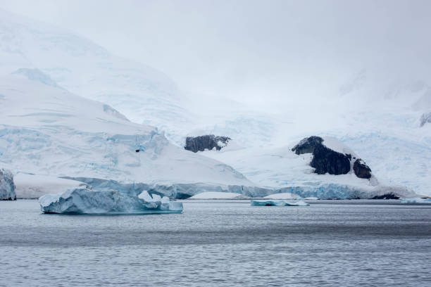 istock Antarctica: Icebergs in Paradise Harbour 688495370