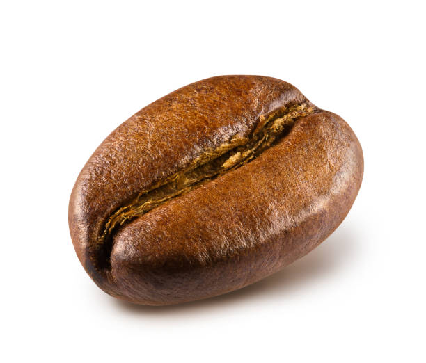 Roasted coffee bean. Shiny fresh roasted coffee bean isolated on white background. arabica coffee drink stock pictures, royalty-free photos & images