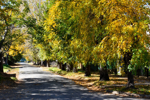 istock Autumn in City Bell. Buenos Aires 688499544