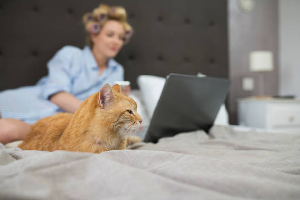 istock Woman with cat on bed 688503172
