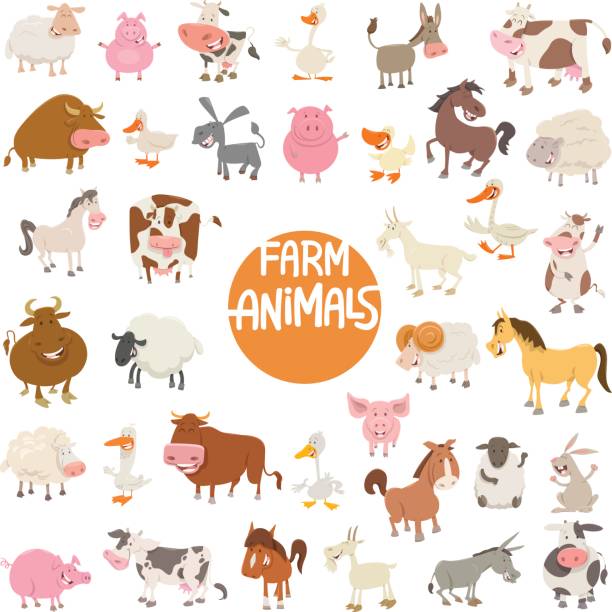 ilustraciones, imágenes clip art, dibujos animados e iconos de stock de personajes de dibujos animados de animales gran - livestock vector cute domestic cattle