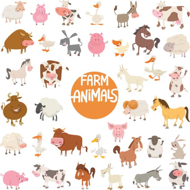 postacie ze zwierząt z kreskówek duży zestaw - farm animal cartoon cow stock illustrations