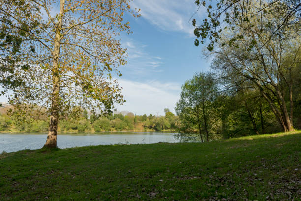 istock The holly pit in Cabarceno, Cantabria, Spain 688512450