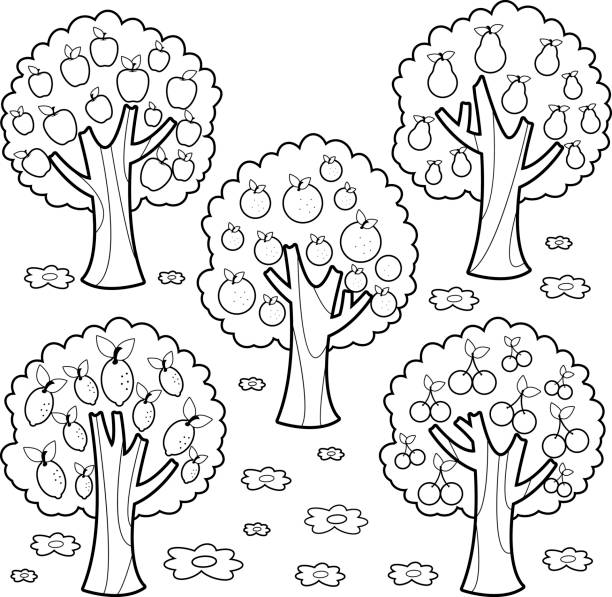 drzewa owocowe. czarno-biała strona kolorowanki - tree book apple apple tree stock illustrations