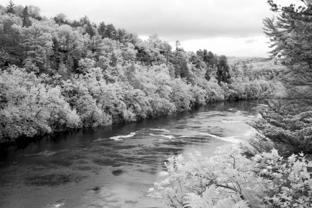 istock St. Croix River in Infrared Black and White 688530666