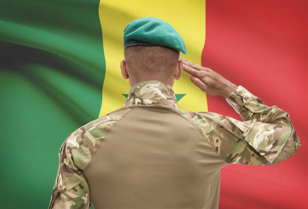 istock Dark-skinned soldier with flag on background - Senegal 688530926