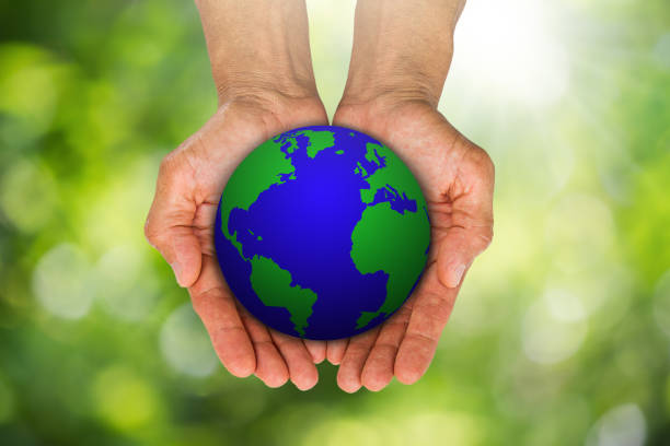 istock Man's hands holding globe on blurred green bokeh background, environment concept 688536634