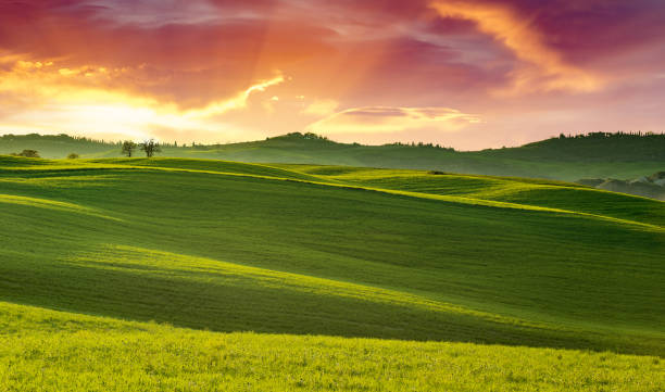 istock sunset on green rolling landscape in Tuscany 688536772